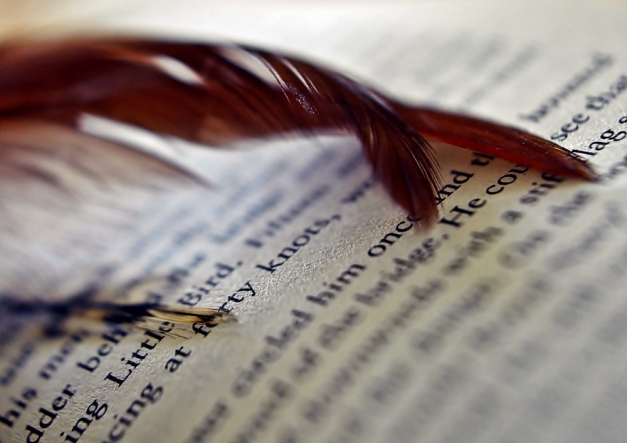 Feather on an open book.